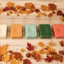 Load image into Gallery viewer, Witchy Wax ~ Seasonal Collection
